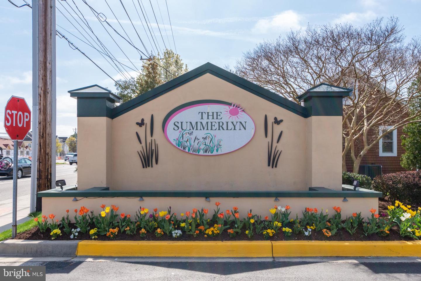 DESU2079780-803726294440-2025-03-28-06-42-52 34297 Summerlyn Dr #509 | Lewes, DE Real Estate For Sale | MLS# Desu2079780  - Jack Lingo REALTOR