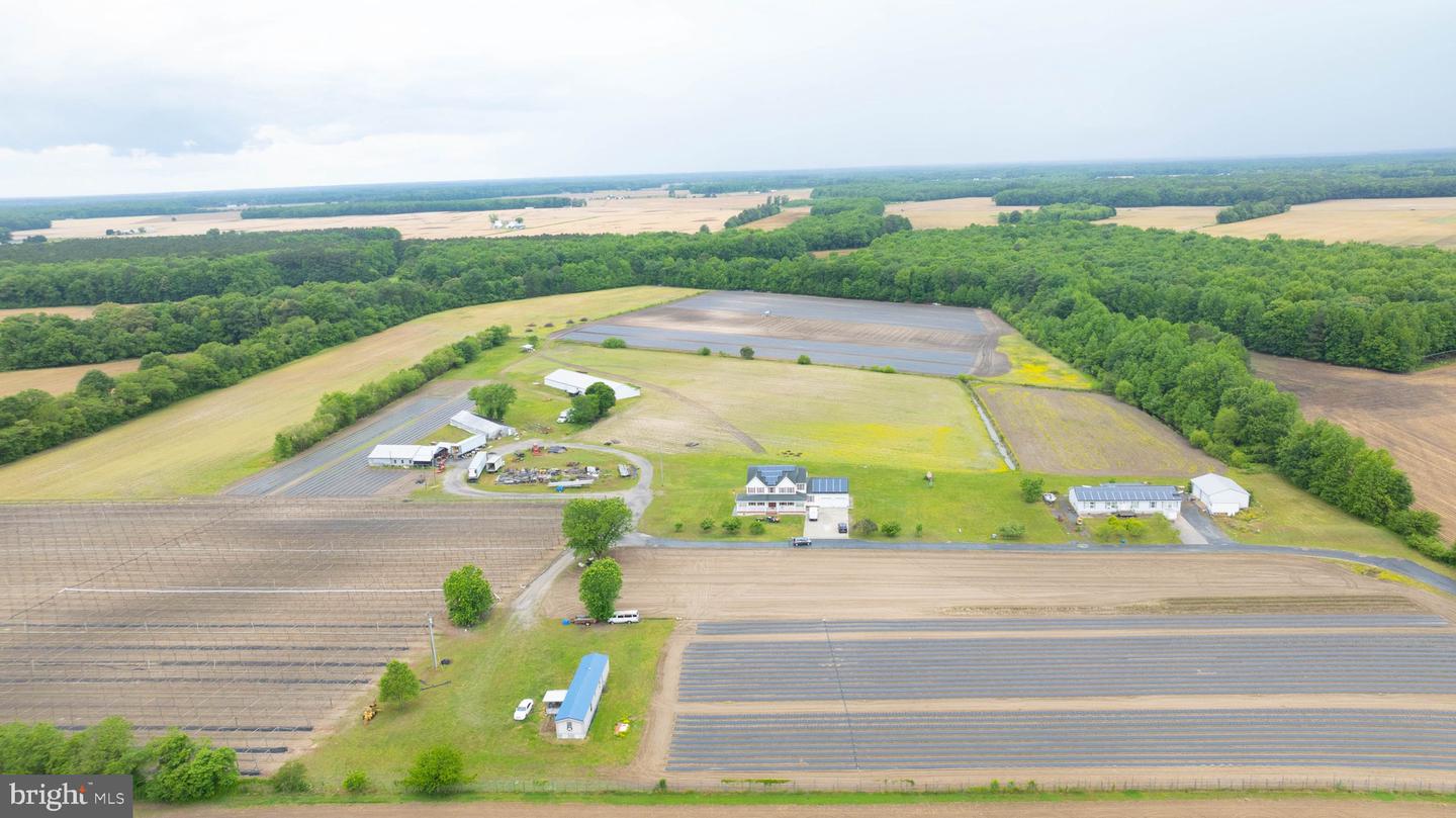 4643 HONG FARM RD, SEAFORD, DE - Jack Lingo Realtor