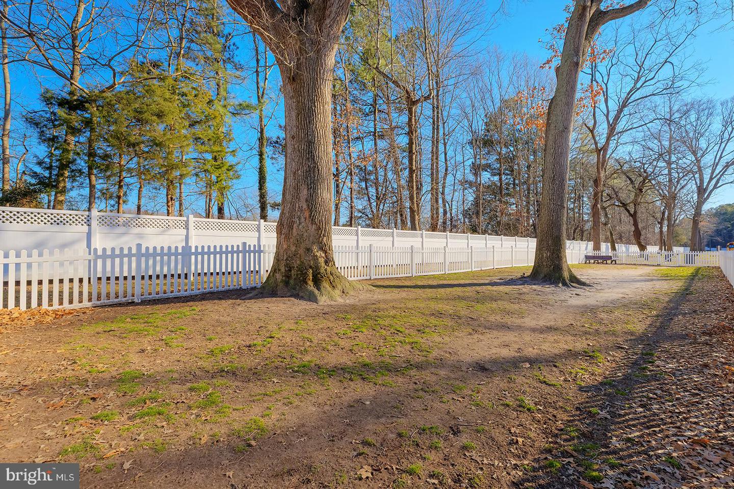 DESU2080124-803665872060-2025-07-08-10-34-00 33916 Liberty St #4304 | Millsboro, DE Real Estate For Sale | MLS# Desu2080124  - Jack Lingo REALTOR