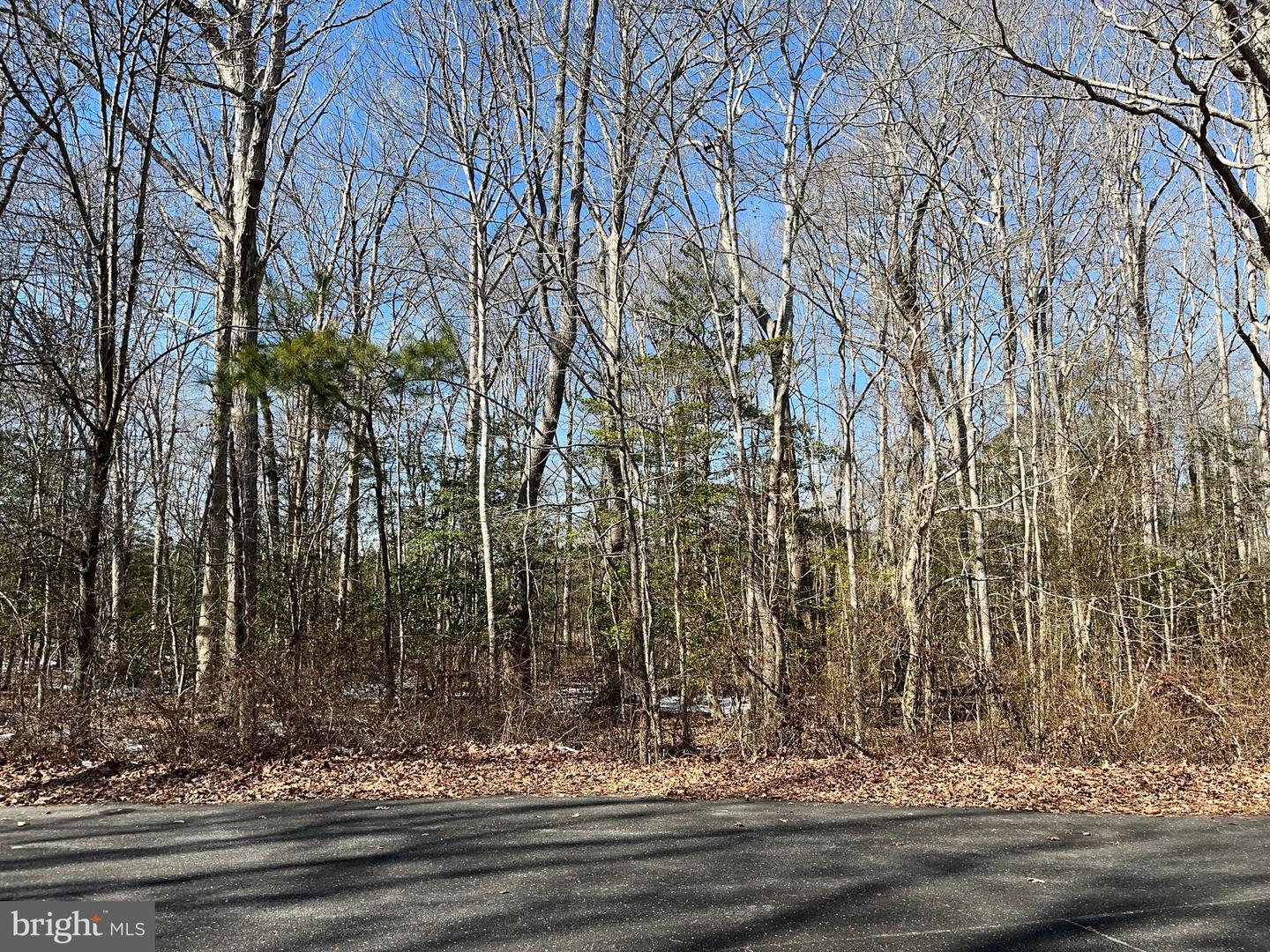 37734 FENWICK CIR, SELBYVILLE, DE - Jack Lingo Realtor