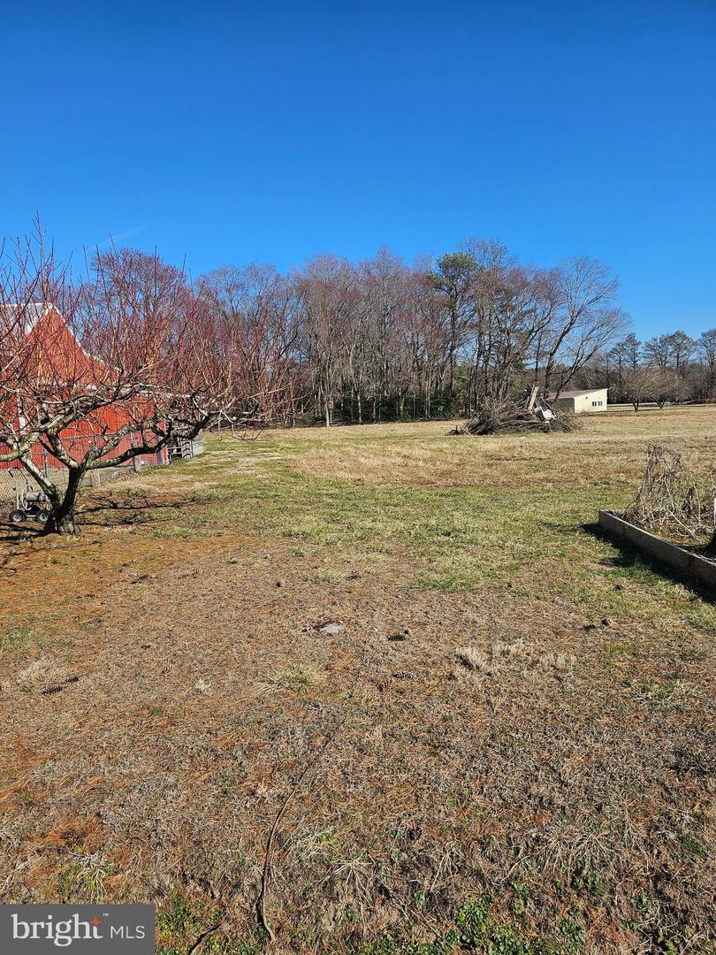 DESU2080632-803681064764-2025-03-30-21-30-16 14930 Blanchard Rd | Bridgeville, DE Real Estate For Sale | MLS# Desu2080632  - Jack Lingo REALTOR