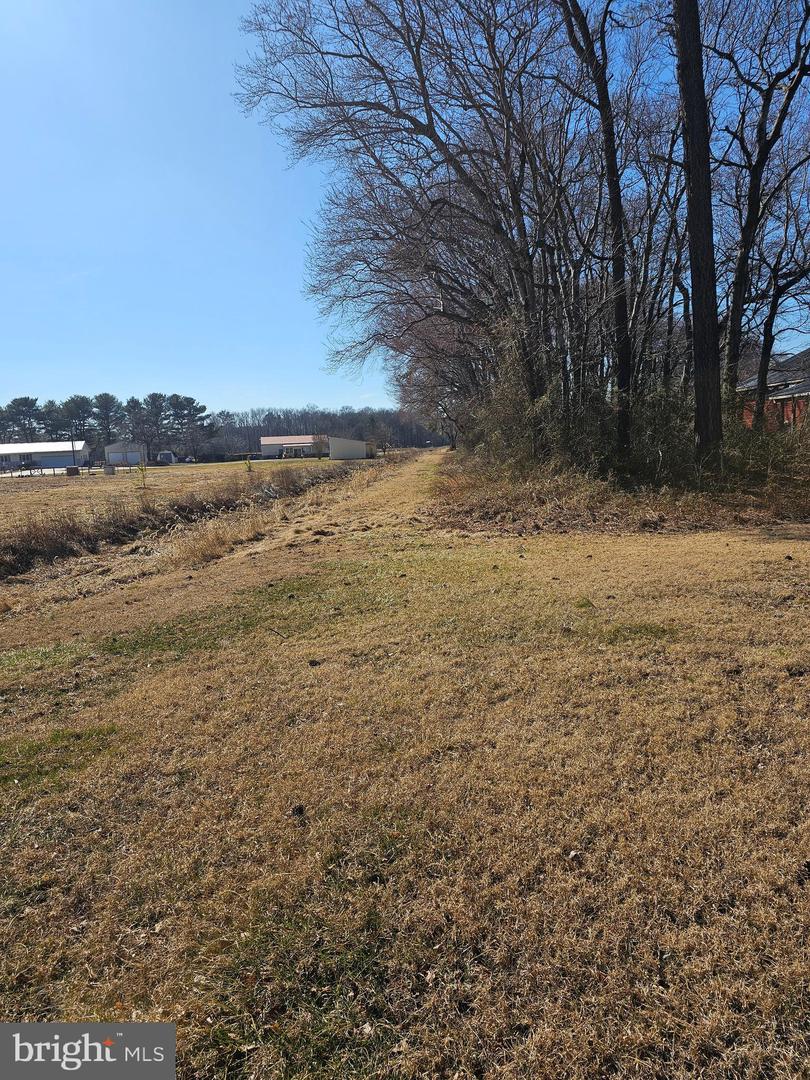 DESU2080632-803681066142-2025-03-30-21-30-13 14930 Blanchard Rd | Bridgeville, DE Real Estate For Sale | MLS# Desu2080632  - Jack Lingo REALTOR