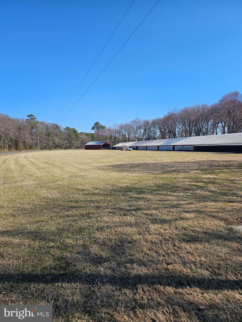 DESU2080632-803681066264-2025-03-30-21-30-17 14930 Blanchard Rd | Bridgeville, DE Real Estate For Sale | MLS# Desu2080632  - Jack Lingo REALTOR