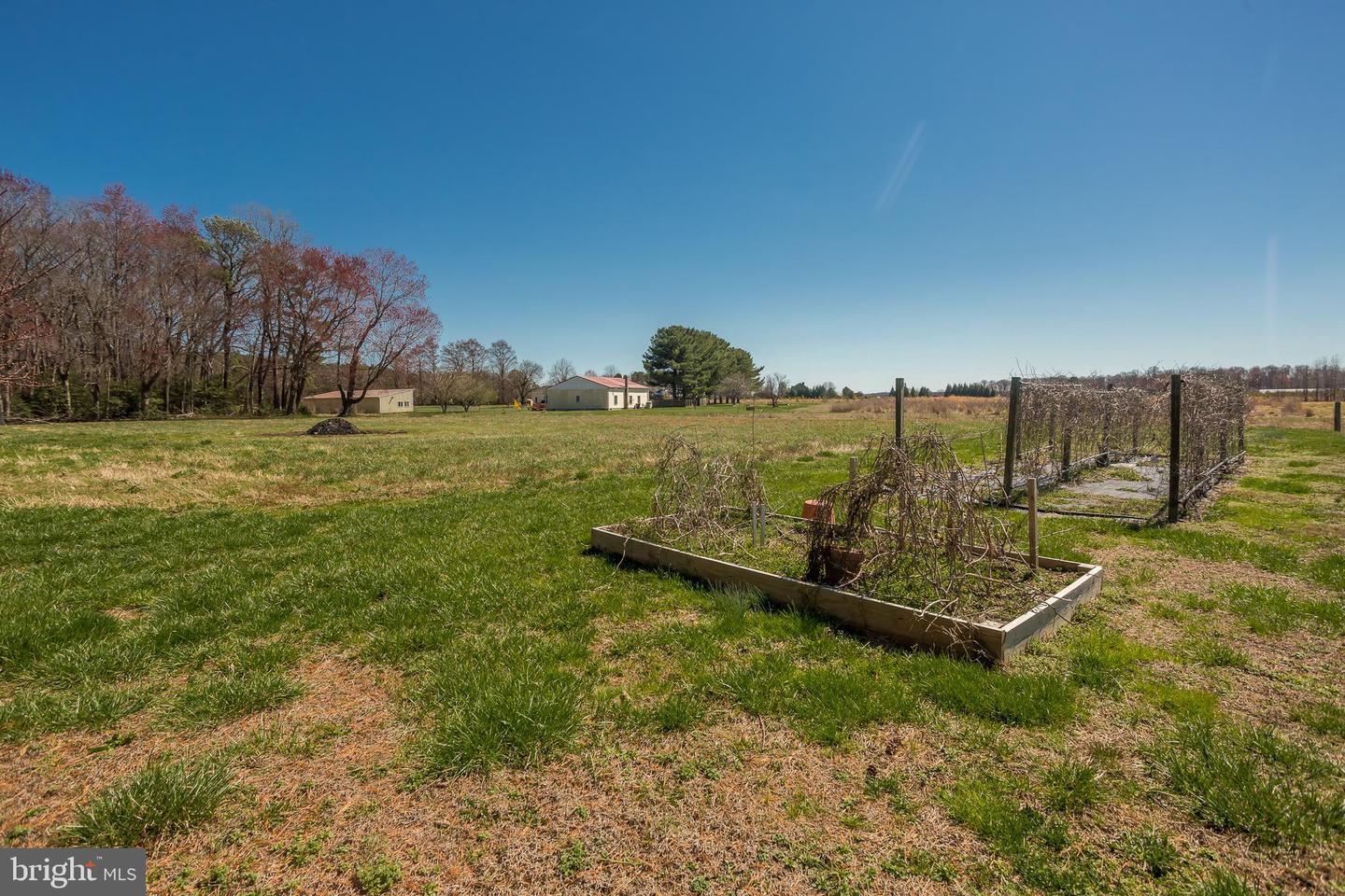 DESU2080632-803731379944-2025-03-30-21-30-14 14930 Blanchard Rd | Bridgeville, DE Real Estate For Sale | MLS# Desu2080632  - Jack Lingo REALTOR