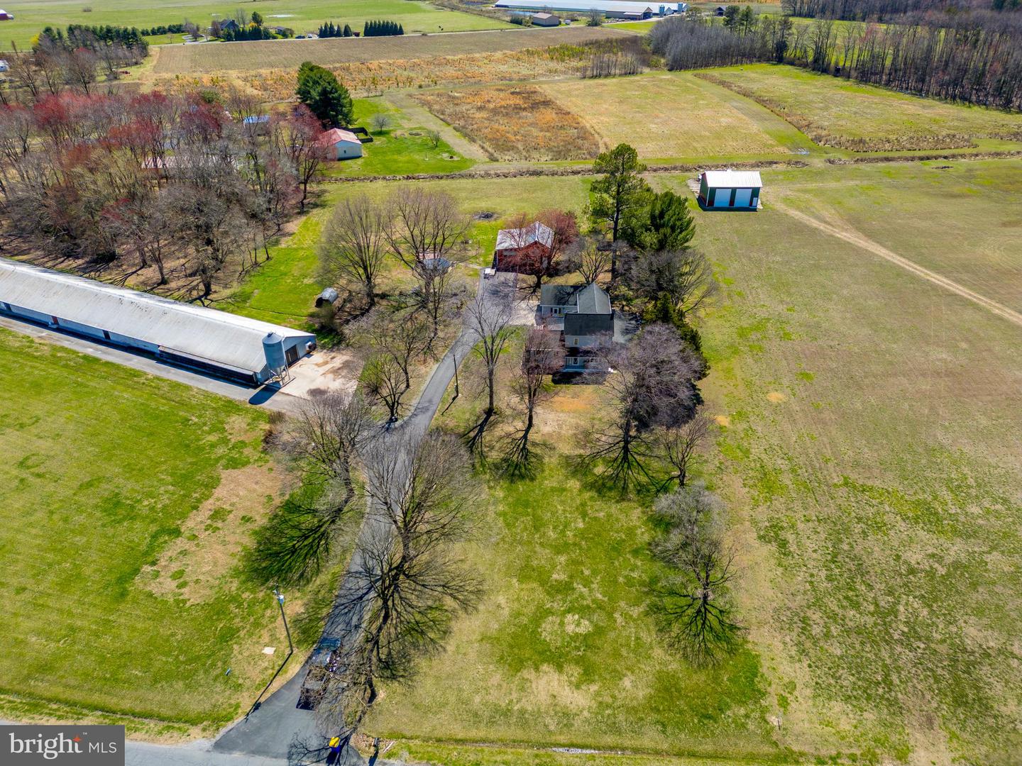 14930 BLANCHARD RD, BRIDGEVILLE, DE - Jack Lingo Realtor