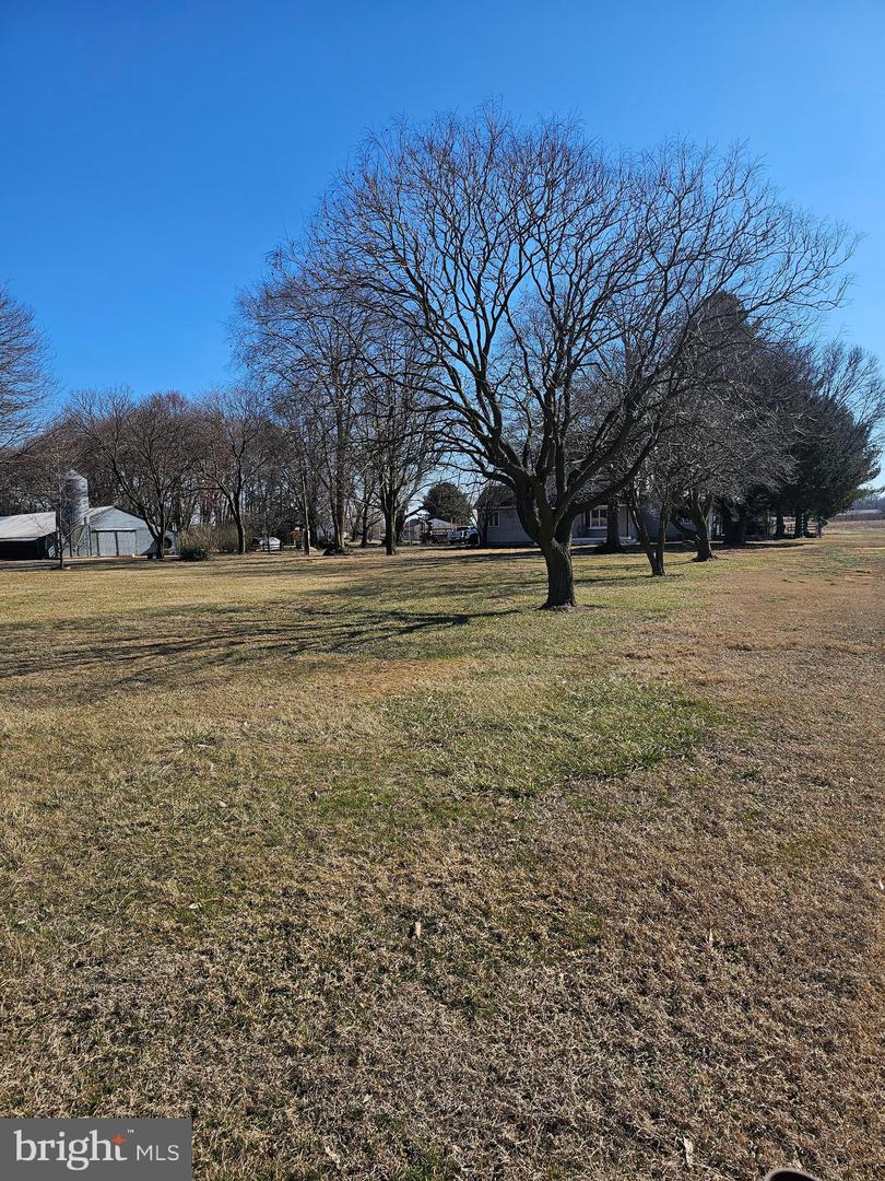 DESU2080638-803681096702-2025-03-30-19-55-04 14930 Blanchard Rd | Bridgeville, DE Real Estate For Sale | MLS# Desu2080638  - Jack Lingo REALTOR