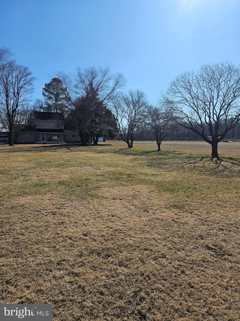 DESU2080638-803681096706-2025-03-30-19-55-06 14930 Blanchard Rd | Bridgeville, DE Real Estate For Sale | MLS# Desu2080638  - Jack Lingo REALTOR