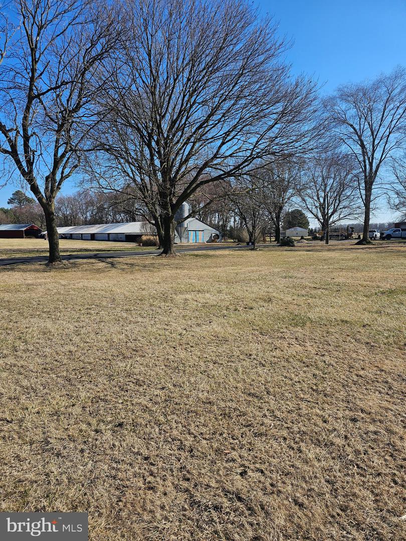 DESU2080638-803681096718-2025-03-30-19-55-06 14930 Blanchard Rd | Bridgeville, DE Real Estate For Sale | MLS# Desu2080638  - Jack Lingo REALTOR
