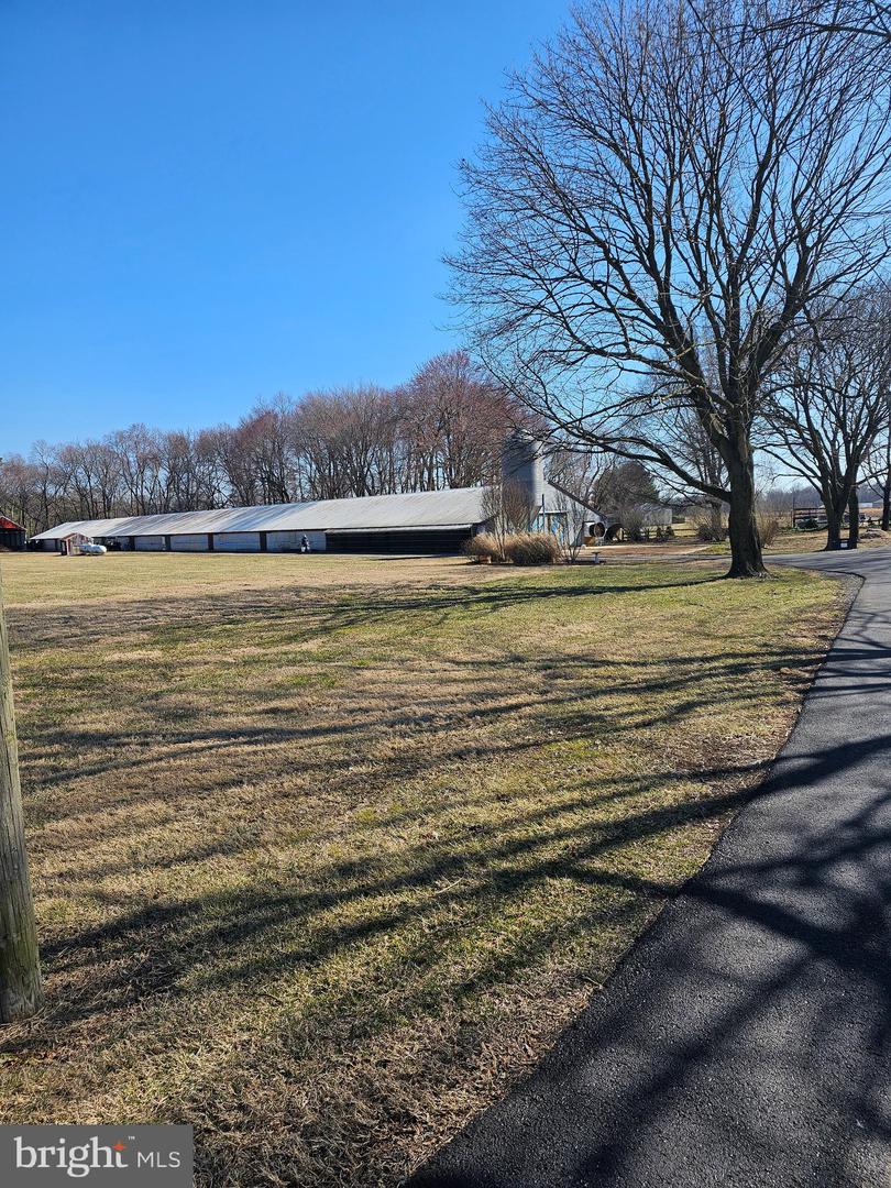 DESU2080638-803681096726-2025-03-30-19-55-06 14930 Blanchard Rd | Bridgeville, DE Real Estate For Sale | MLS# Desu2080638  - Jack Lingo REALTOR