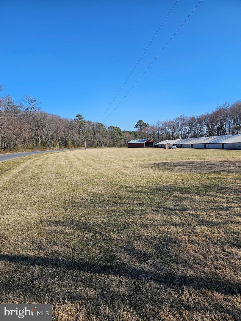 DESU2080638-803681096738-2025-03-30-19-55-07 14930 Blanchard Rd | Bridgeville, DE Real Estate For Sale | MLS# Desu2080638  - Jack Lingo REALTOR
