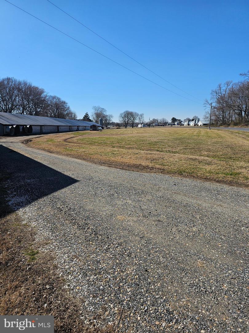 DESU2080638-803681096746-2025-03-30-19-55-07 14930 Blanchard Rd | Bridgeville, DE Real Estate For Sale | MLS# Desu2080638  - Jack Lingo REALTOR