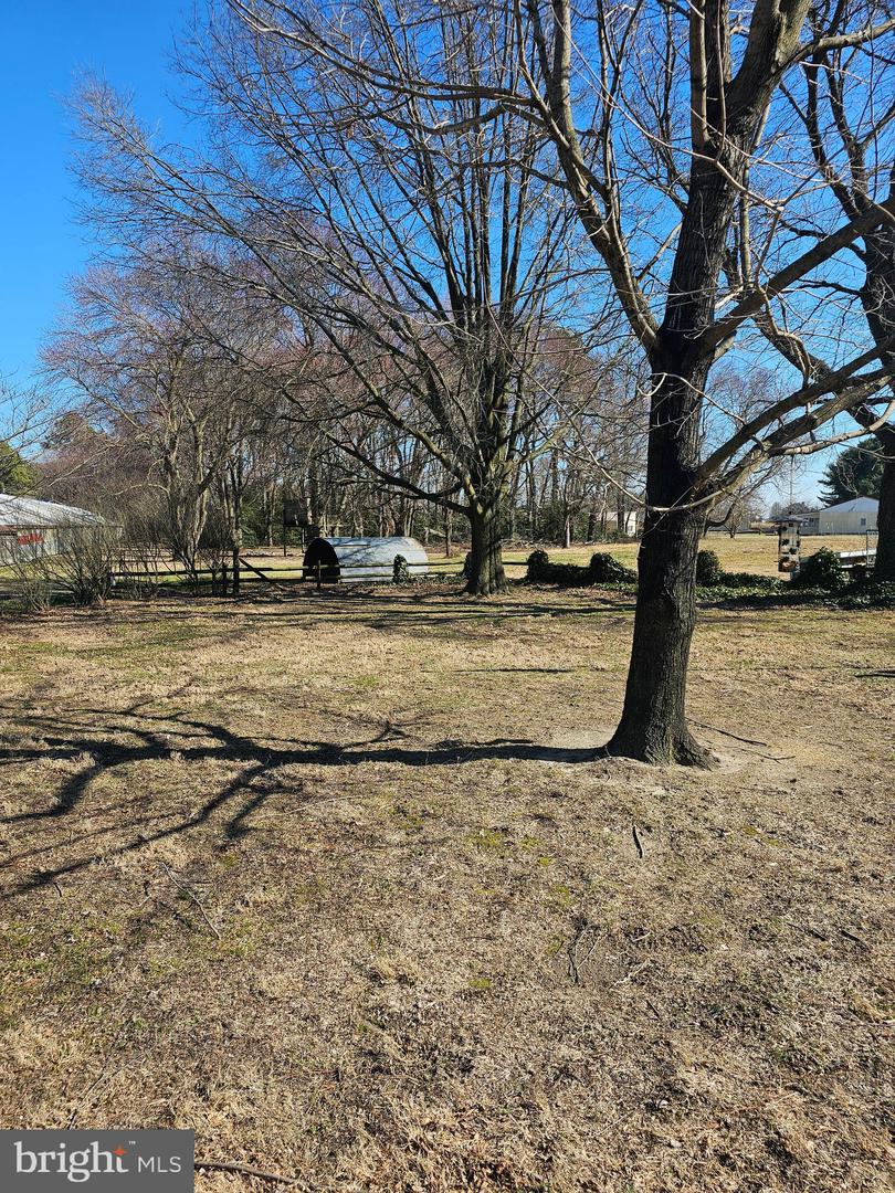 DESU2080638-803681096794-2025-03-30-19-55-07 14930 Blanchard Rd | Bridgeville, DE Real Estate For Sale | MLS# Desu2080638  - Jack Lingo REALTOR