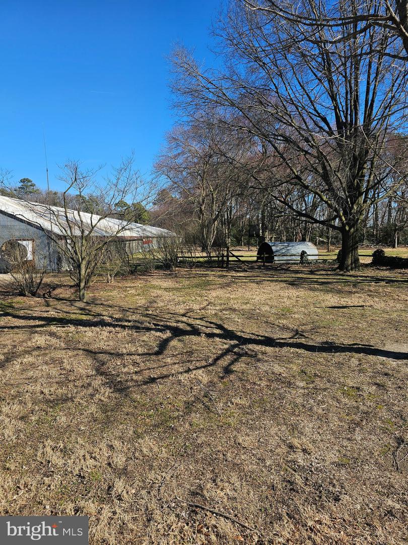 DESU2080638-803681096798-2025-03-30-19-55-07 14930 Blanchard Rd | Bridgeville, DE Real Estate For Sale | MLS# Desu2080638  - Jack Lingo REALTOR