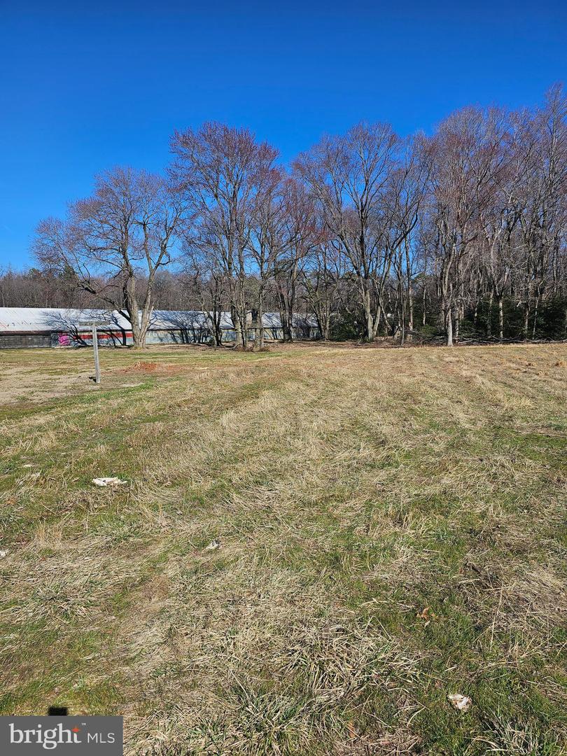 DESU2080638-803681096866-2025-03-30-19-55-03 14930 Blanchard Rd | Bridgeville, DE Real Estate For Sale | MLS# Desu2080638  - Jack Lingo REALTOR