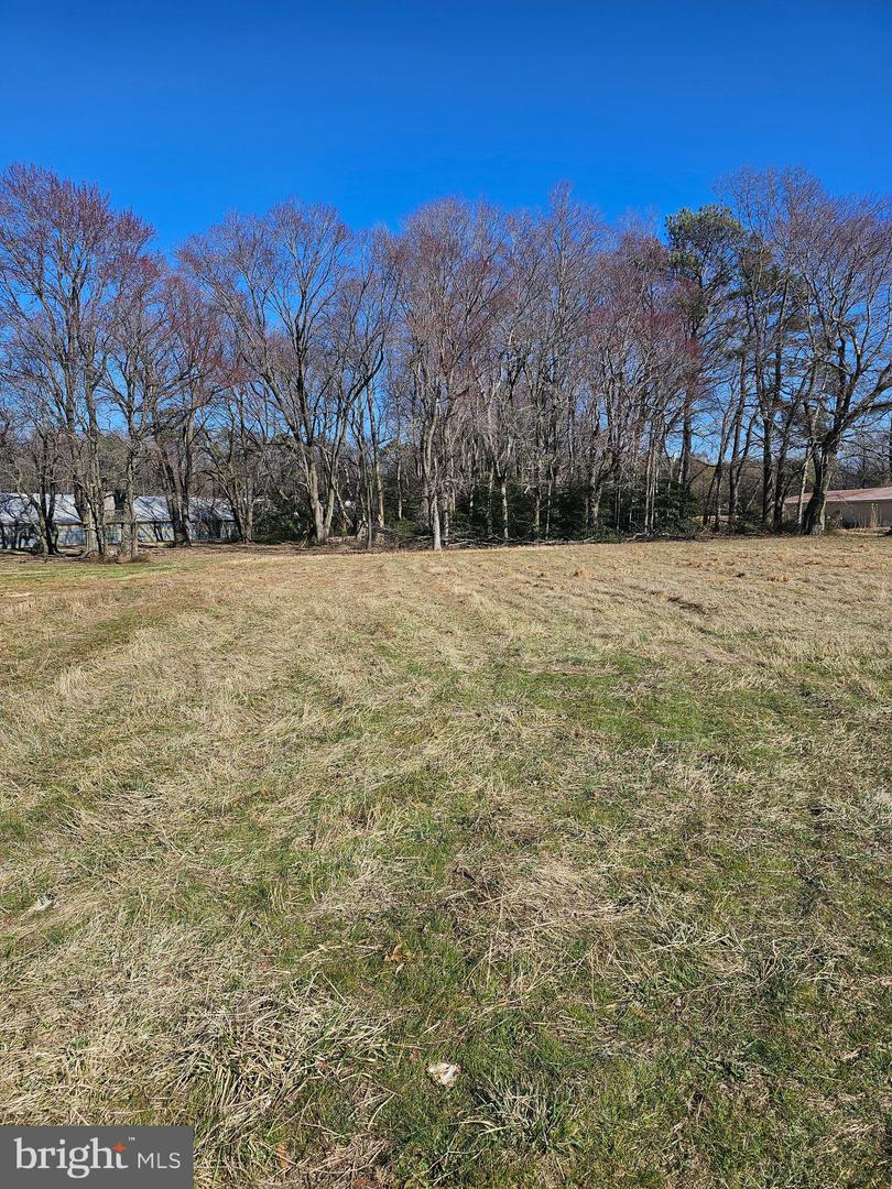DESU2080638-803681096870-2025-03-30-19-55-03 14930 Blanchard Rd | Bridgeville, DE Real Estate For Sale | MLS# Desu2080638  - Jack Lingo REALTOR