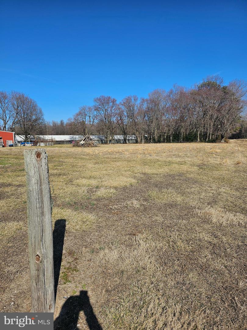 DESU2080638-803681096878-2025-03-30-19-55-03 14930 Blanchard Rd | Bridgeville, DE Real Estate For Sale | MLS# Desu2080638  - Jack Lingo REALTOR