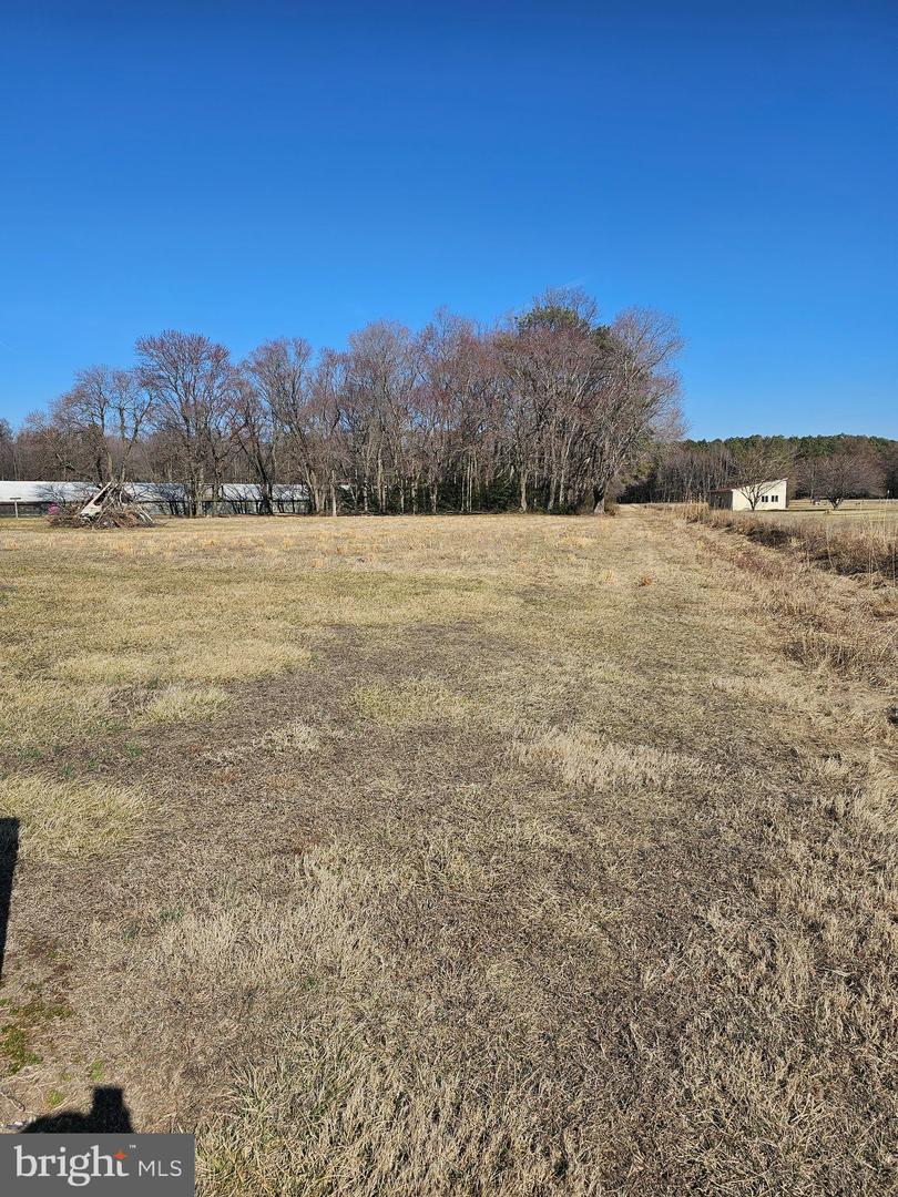 DESU2080638-803681096882-2025-03-30-19-55-02 14930 Blanchard Rd | Bridgeville, DE Real Estate For Sale | MLS# Desu2080638  - Jack Lingo REALTOR