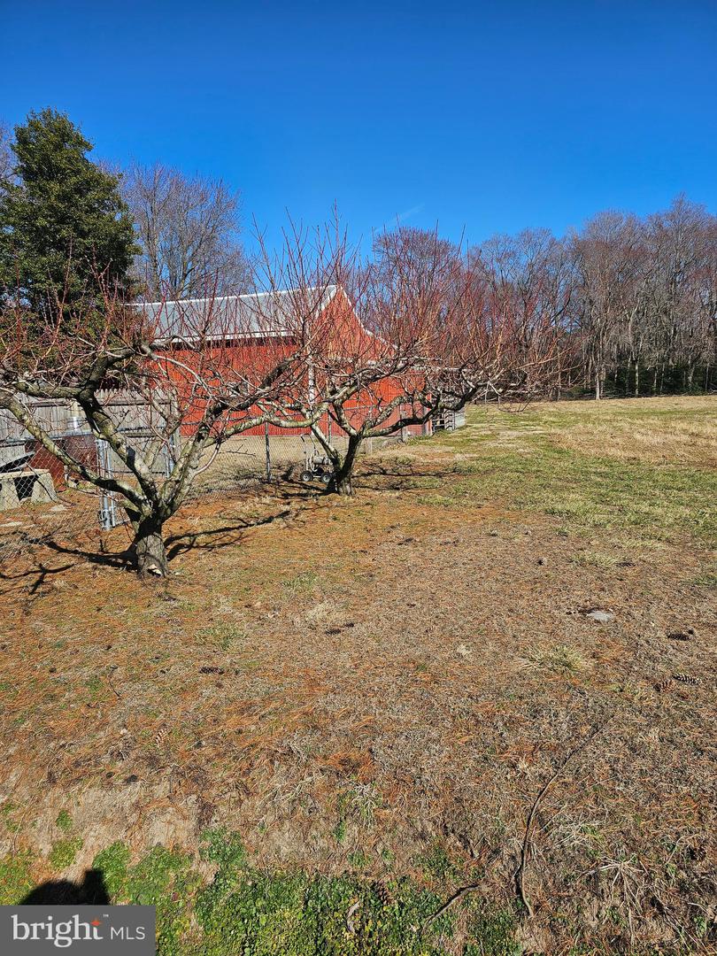 DESU2080638-803681096886-2025-03-30-19-55-02 14930 Blanchard Rd | Bridgeville, DE Real Estate For Sale | MLS# Desu2080638  - Jack Lingo REALTOR