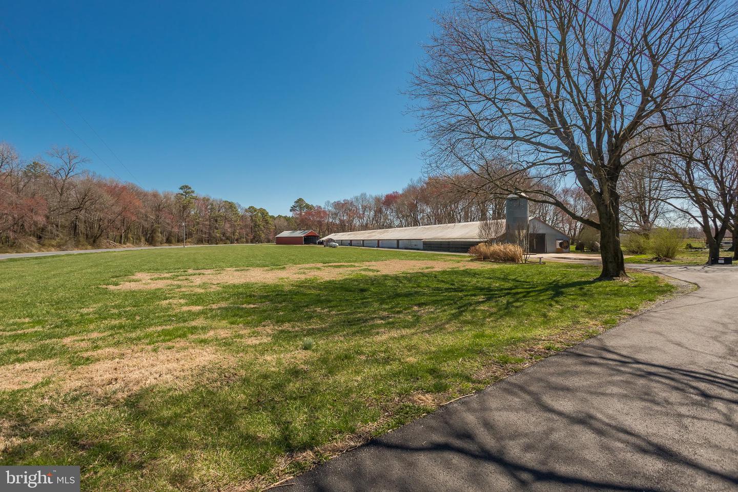 DESU2080638-803731416574-2025-03-30-19-55-04 14930 Blanchard Rd | Bridgeville, DE Real Estate For Sale | MLS# Desu2080638  - Jack Lingo REALTOR