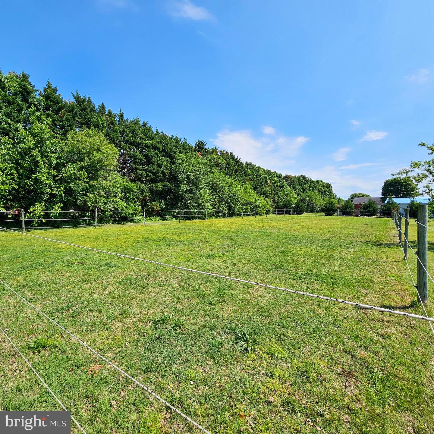 DESU2080646-803838385932-2025-05-08-19-04-03 4243 Horseshoe Rd | Seaford, DE Real Estate For Sale | MLS# Desu2080646  - Jack Lingo REALTOR