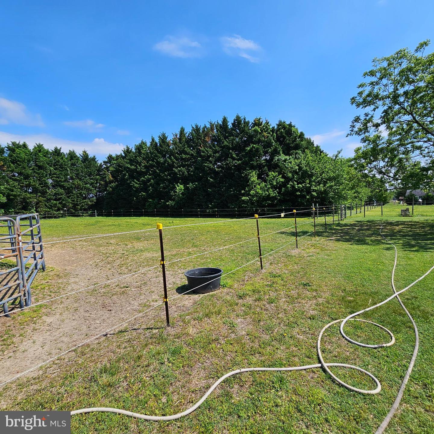 DESU2080646-803838386706-2025-05-08-19-04-02 4243 Horseshoe Rd | Seaford, DE Real Estate For Sale | MLS# Desu2080646  - Jack Lingo REALTOR