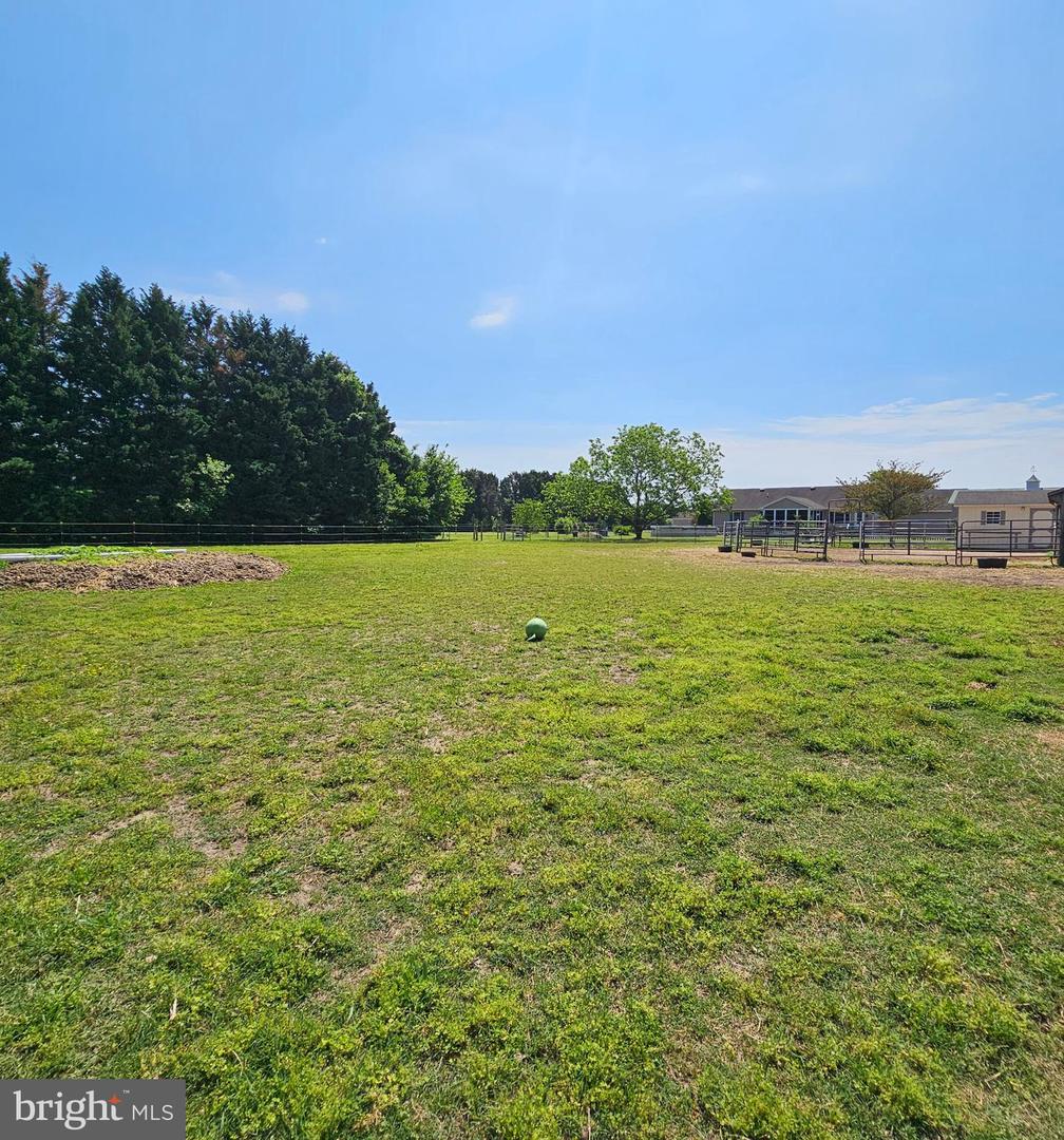 DESU2080646-803838387370-2025-05-08-19-04-01 4243 Horseshoe Rd | Seaford, DE Real Estate For Sale | MLS# Desu2080646  - Jack Lingo REALTOR