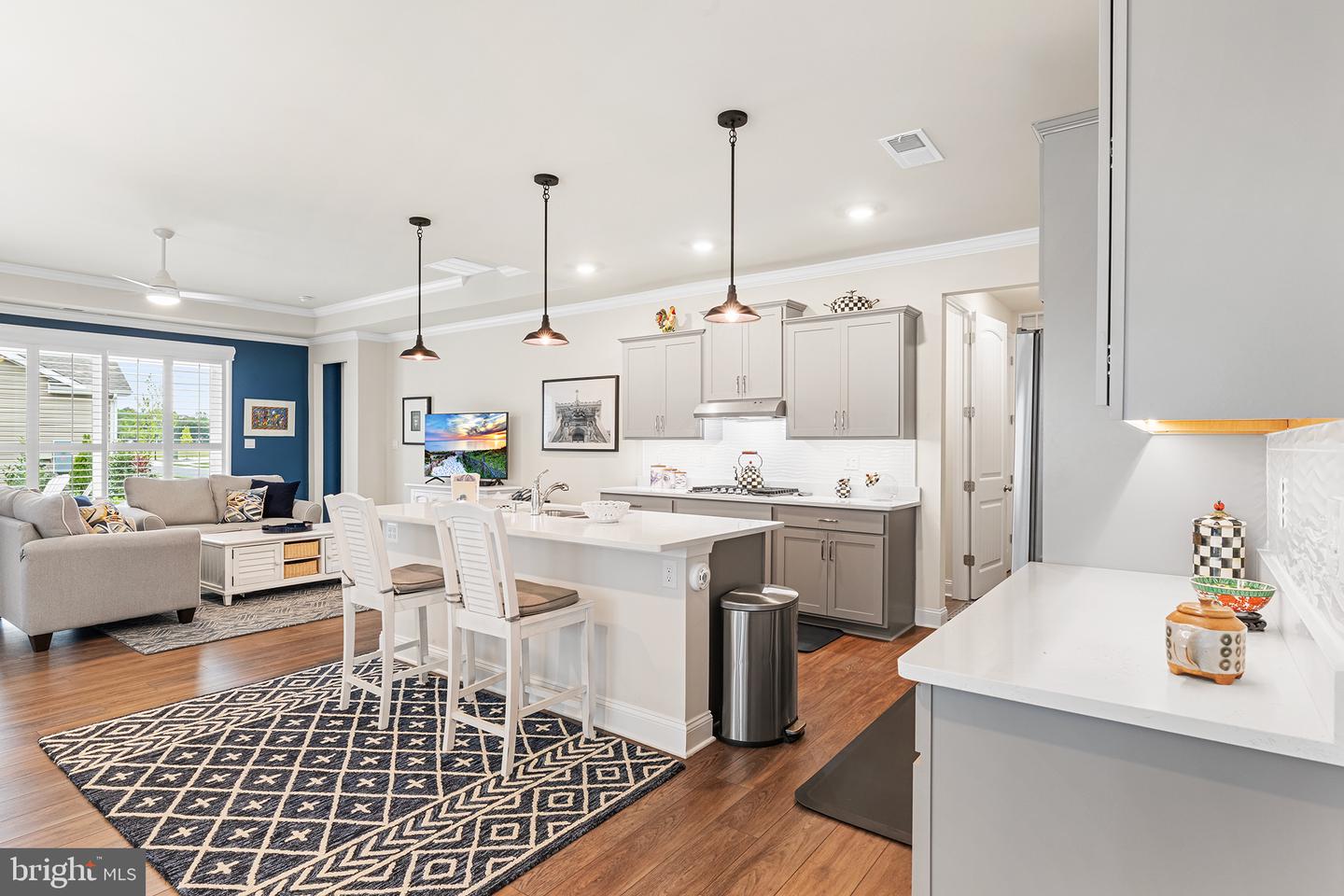 DESU2080772-803684378062-2025-03-14-09-17-21 21135 Hyacinth Rd | Lewes, DE Real Estate For Sale | MLS# Desu2080772  - Jack Lingo REALTOR