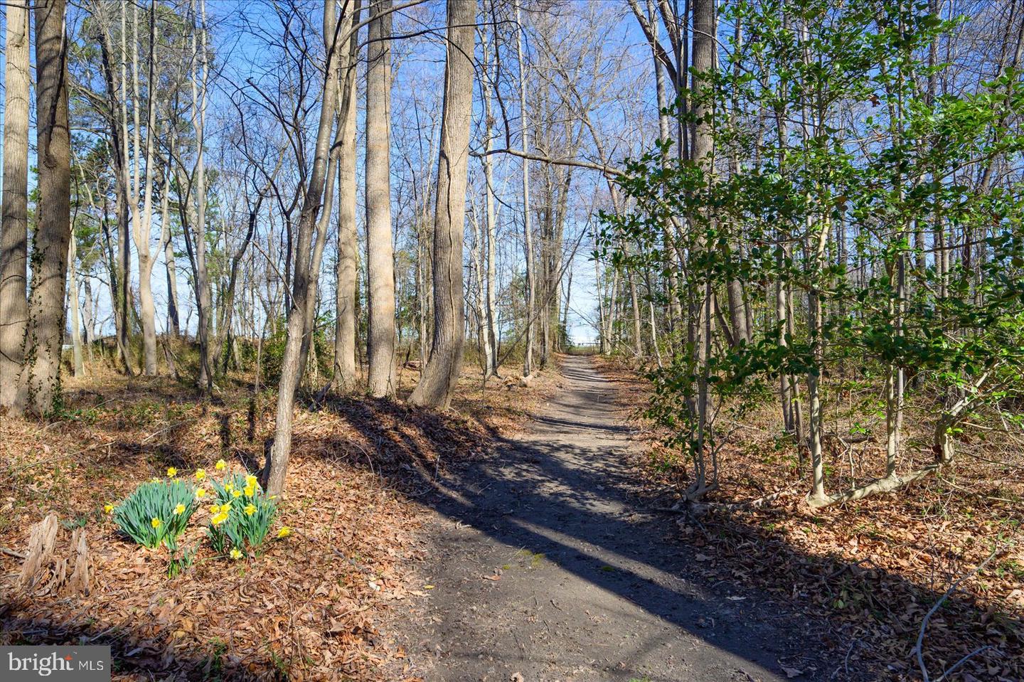 DESU2080876-803725429522-2025-05-16-13-21-48 10463 N Beach Hwy | Greenwood, DE Real Estate For Sale | MLS# Desu2080876  - Jack Lingo REALTOR