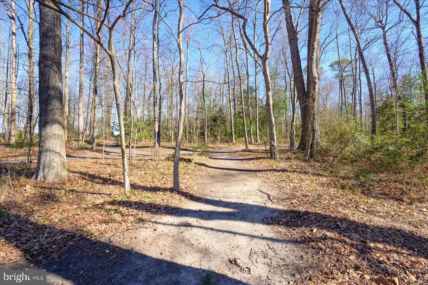 DESU2080876-803725429786-2025-05-16-13-21-48 10463 N Beach Hwy | Greenwood, DE Real Estate For Sale | MLS# Desu2080876  - Jack Lingo REALTOR