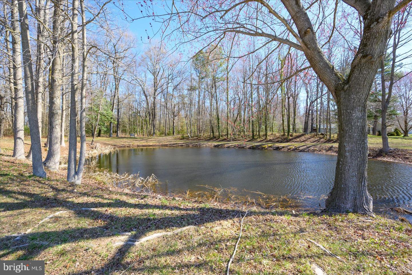DESU2080876-803725430598-2025-05-16-13-21-46 10463 N Beach Hwy | Greenwood, DE Real Estate For Sale | MLS# Desu2080876  - Jack Lingo REALTOR
