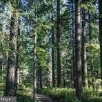 RTE 9 LOT 12 SECLUDED LANE, GEORGETOWN, DE - Jack Lingo Realtor