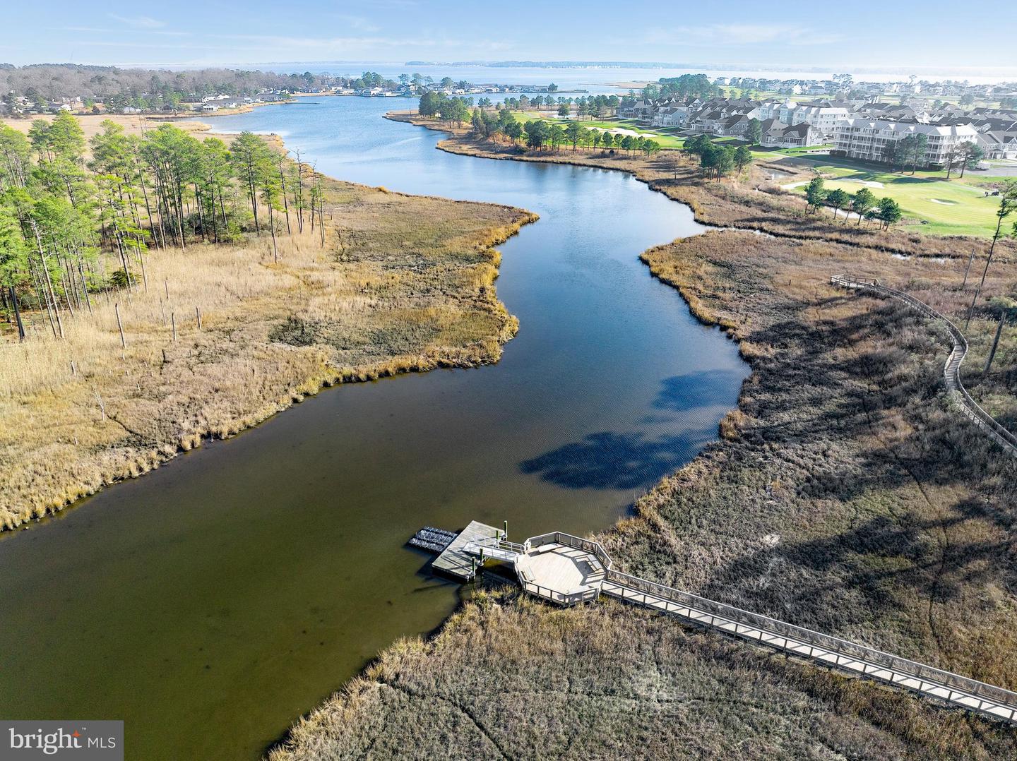 DESU2081194-803707639178-2025-03-21-00-09-11 24537 Wave Maker Dr | Millsboro, DE Real Estate For Sale | MLS# Desu2081194  - Jack Lingo REALTOR