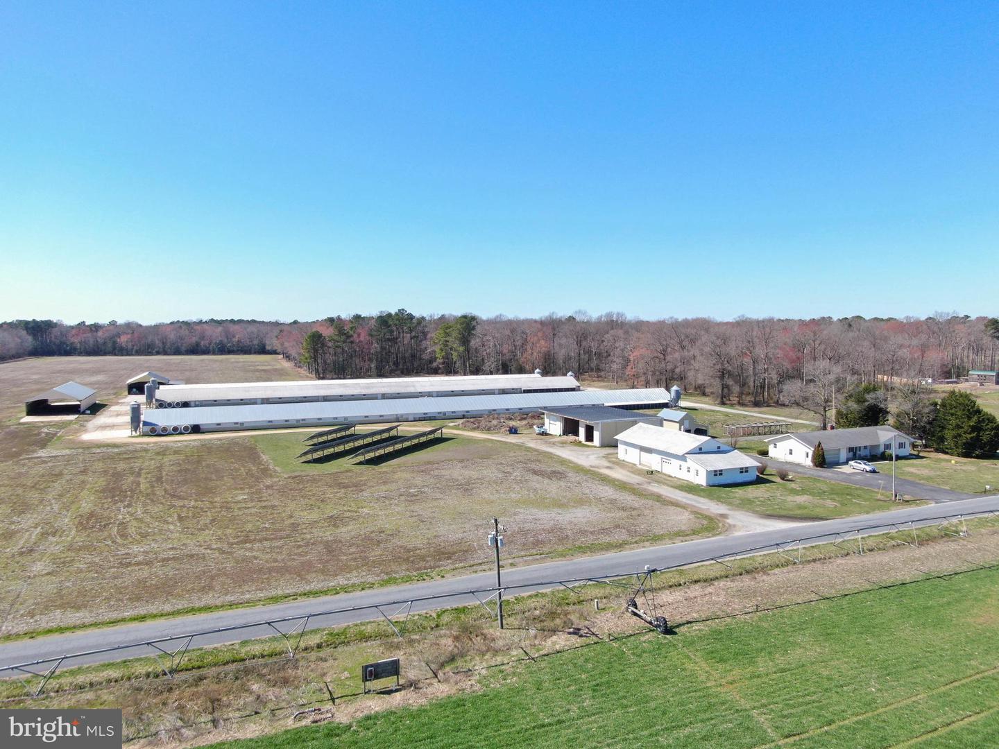 DESU2081306-803704801244-2025-03-19-14-44-00 14564 Blanchard Rd | Bridgeville, DE Real Estate For Sale | MLS# Desu2081306  - Jack Lingo REALTOR