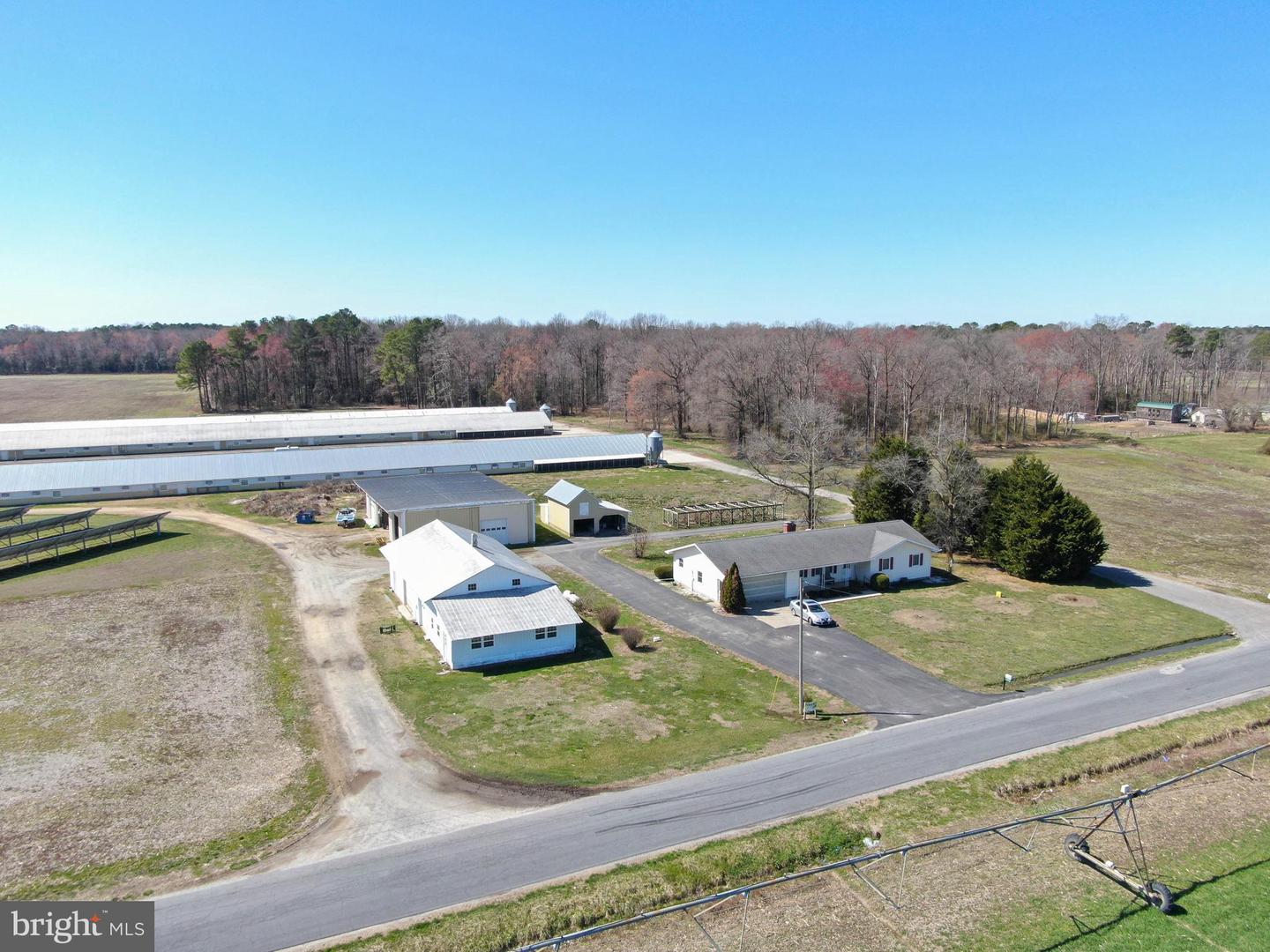 DESU2081306-803704802036-2025-06-16-15-24-15 14564 Blanchard Rd | Bridgeville, DE Real Estate For Sale | MLS# Desu2081306  - Jack Lingo REALTOR