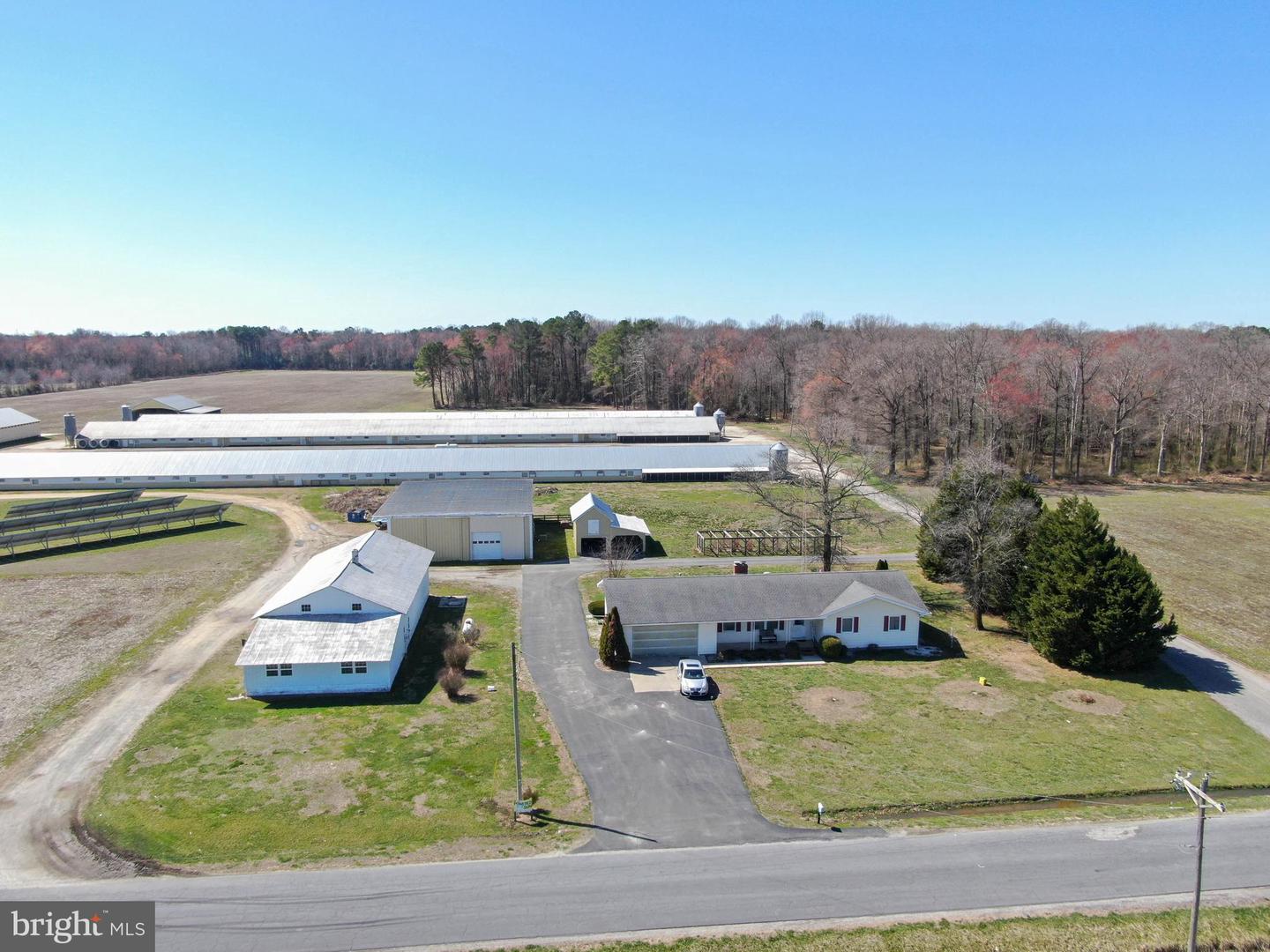 DESU2081306-803704802112-2025-03-19-14-44-01 14564 Blanchard Rd | Bridgeville, DE Real Estate For Sale | MLS# Desu2081306  - Jack Lingo REALTOR