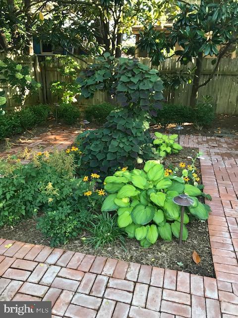 DESU2081334-803819620404-2025-05-08-11-55-57 228 2nd St | Lewes, DE Real Estate For Sale | MLS# Desu2081334  - Jack Lingo REALTOR