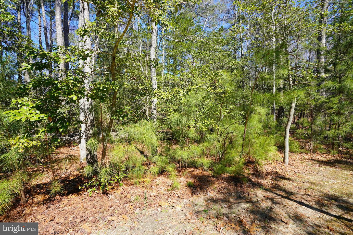 DESU2081402-803703677676-2025-03-21-10-09-20 10 Bay Oak Dr | Lewes, DE Real Estate For Sale | MLS# Desu2081402  - Jack Lingo REALTOR