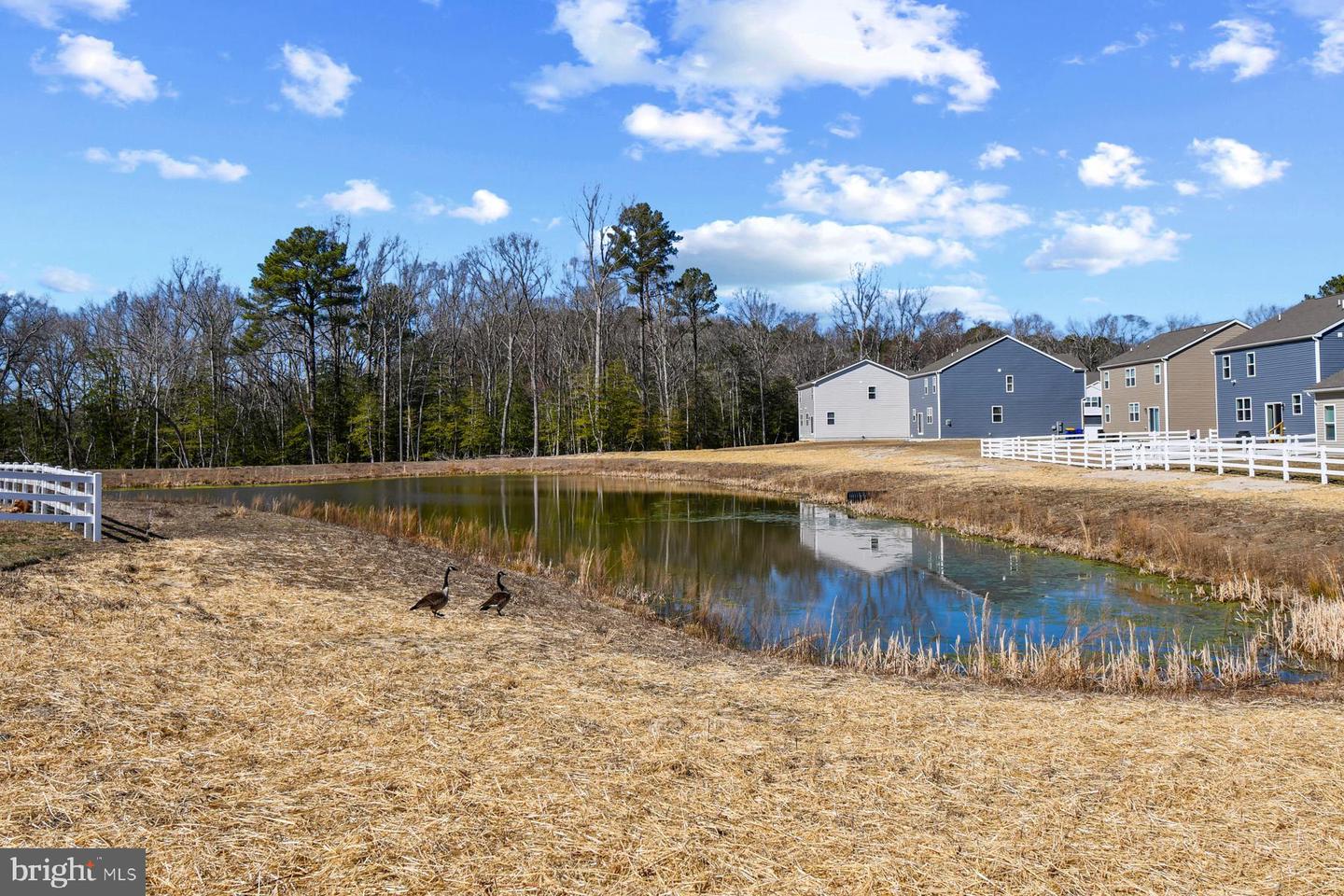 DESU2081428-803702094382-2025-03-21-00-27-18 31152 Beach Cove Dr | Millsboro, DE Real Estate For Sale | MLS# Desu2081428  - Jack Lingo REALTOR
