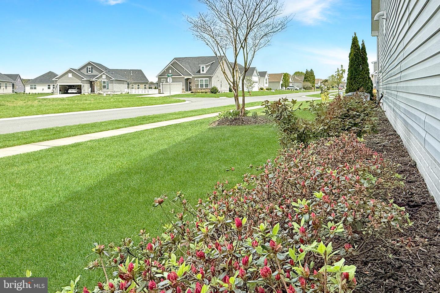 DESU2081430-803795112576-2025-04-24-11-35-15 16255 Ashlar Loop | Milton, DE Real Estate For Sale | MLS# Desu2081430  - Jack Lingo REALTOR