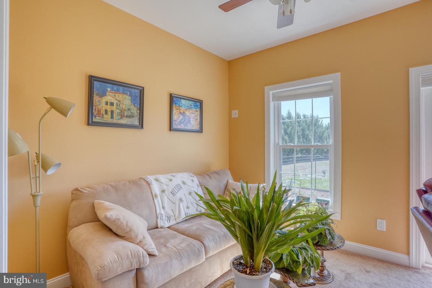 DESU2081568-803712117630-2025-03-22-00-15-50 12390 Deer Forest Rd | Bridgeville, DE Real Estate For Sale | MLS# Desu2081568  - Jack Lingo REALTOR