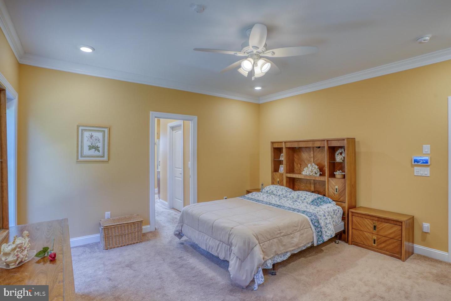 DESU2081568-803712118368-2025-03-22-00-15-51 12390 Deer Forest Rd | Bridgeville, DE Real Estate For Sale | MLS# Desu2081568  - Jack Lingo REALTOR