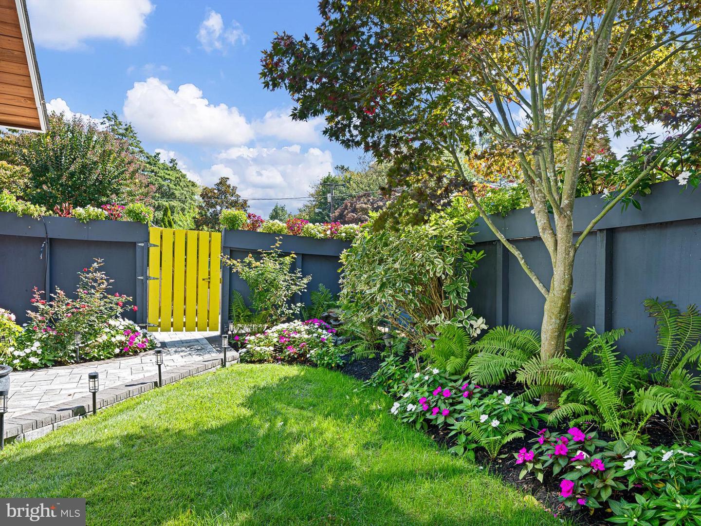 DESU2081654-804183853020-2025-09-20-12-55-42 111 Carolina St | Dewey Beach, DE Real Estate For Sale | MLS# Desu2081654  - Jack Lingo REALTOR DESU2081654-804183853020-2025-09-20-12-55-42 111 Carolina St | Dewey Beach, DE Real Estate For Sale | MLS# Desu2081654  - Jack Lingo REALTOR