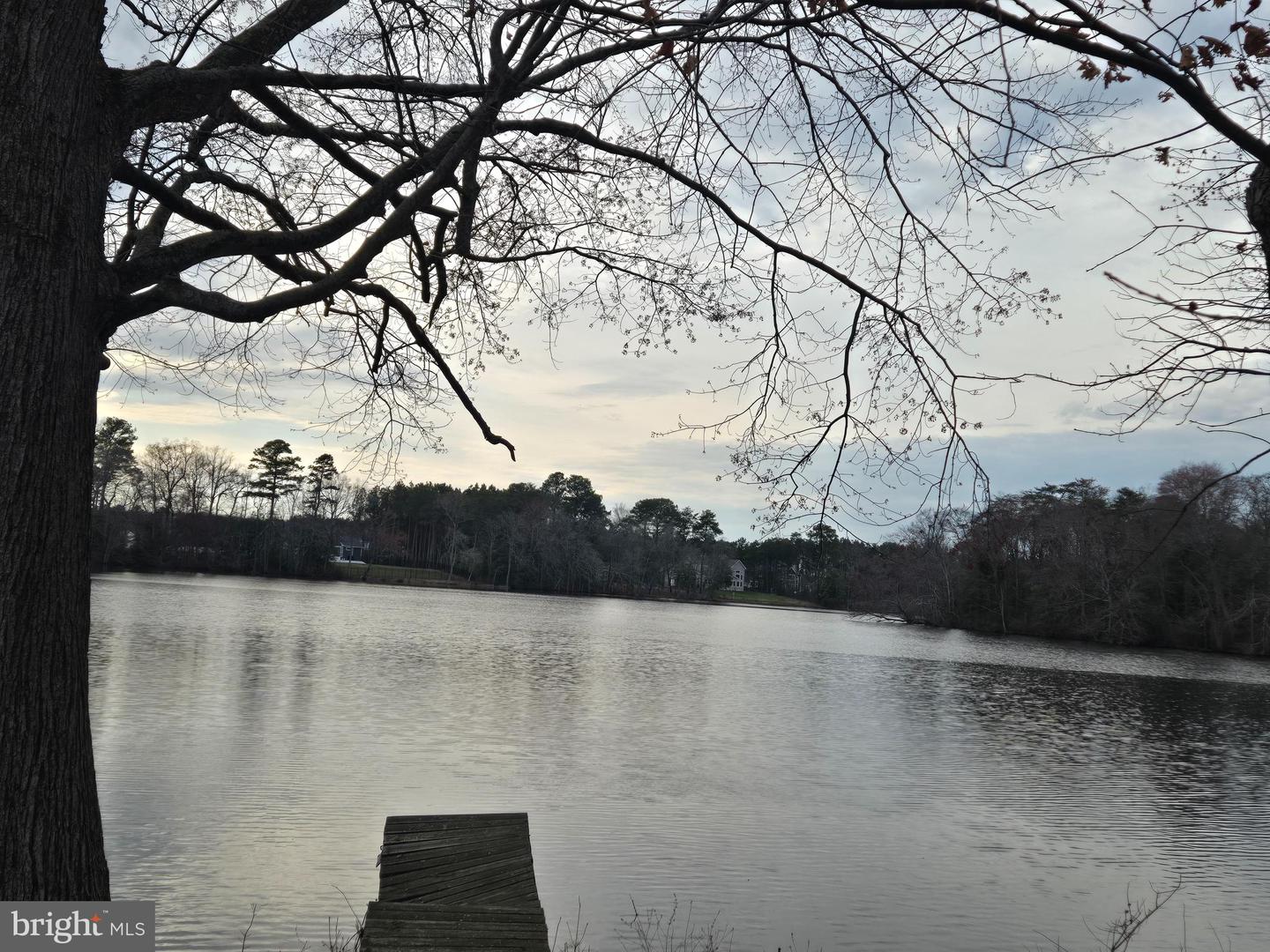 DESU2081716-803731361736-2025-03-30-18-52-49 00003 Williams St | Georgetown, DE Real Estate For Sale | MLS# Desu2081716  - Jack Lingo REALTOR