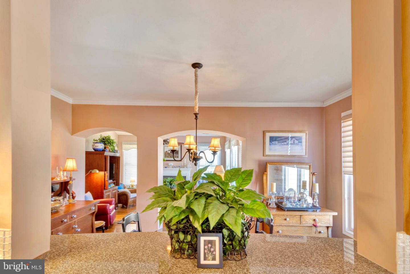 DESU2081722-803754941124-2025-04-14-16-43-49 16654 John Rowland Trl #904 | Milton, DE Real Estate For Sale | MLS# Desu2081722  - Jack Lingo REALTOR