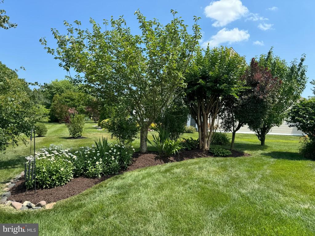 DESU2081796-803726567948-2025-04-29-16-17-20 20540 Annondell Dr | Lewes, DE Real Estate For Sale | MLS# Desu2081796  - Jack Lingo REALTOR