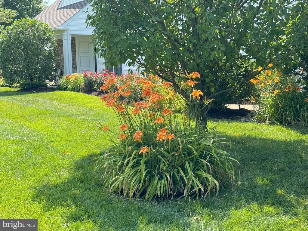DESU2081796-803726568042-2025-04-29-16-17-17 20540 Annondell Dr | Lewes, DE Real Estate For Sale | MLS# Desu2081796  - Jack Lingo REALTOR