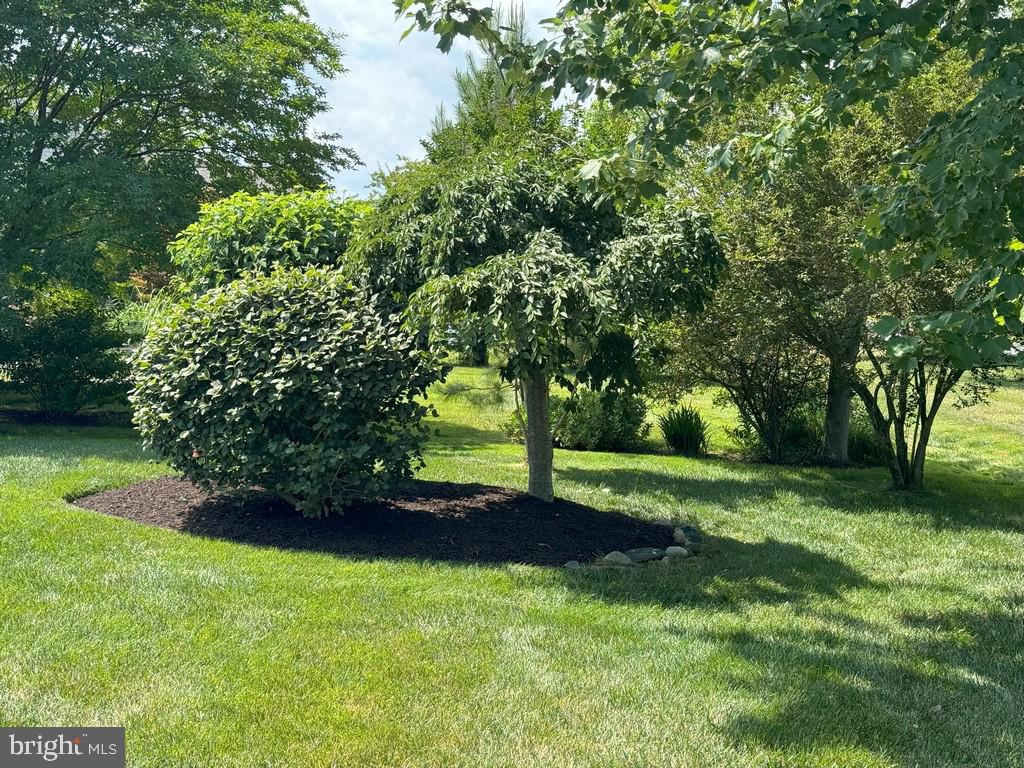 DESU2081796-803740429822-2025-04-29-16-17-20 20540 Annondell Dr | Lewes, DE Real Estate For Sale | MLS# Desu2081796  - Jack Lingo REALTOR