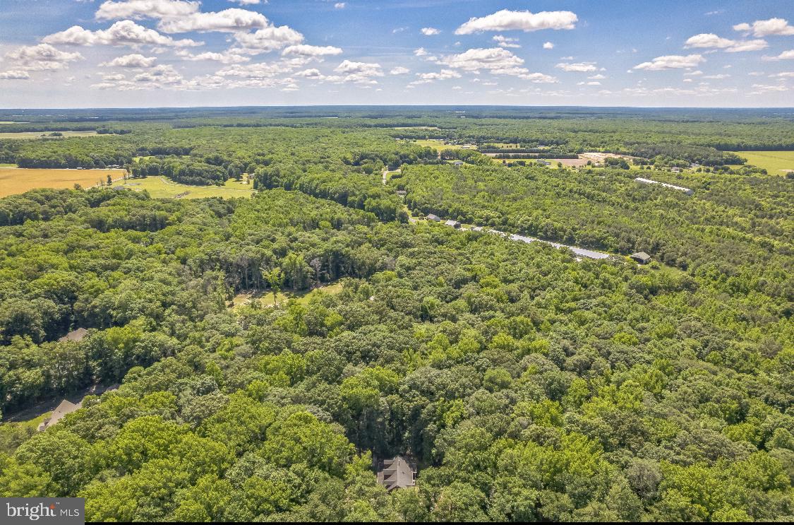 DESU2081838-803883411222-2025-05-26-11-57-30 10065 Johnson Hunt Run | Greenwood, DE Real Estate For Sale | MLS# Desu2081838  - Jack Lingo REALTOR