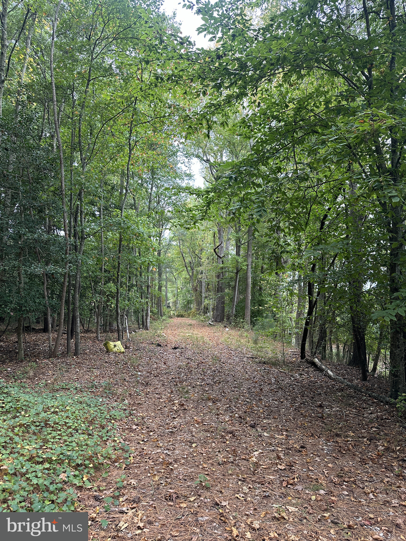 DESU2081840-803723856958-2025-07-18-12-02-59 0 Burbage Rd | Frankford, DE Real Estate For Sale | MLS# Desu2081840  - Jack Lingo REALTOR