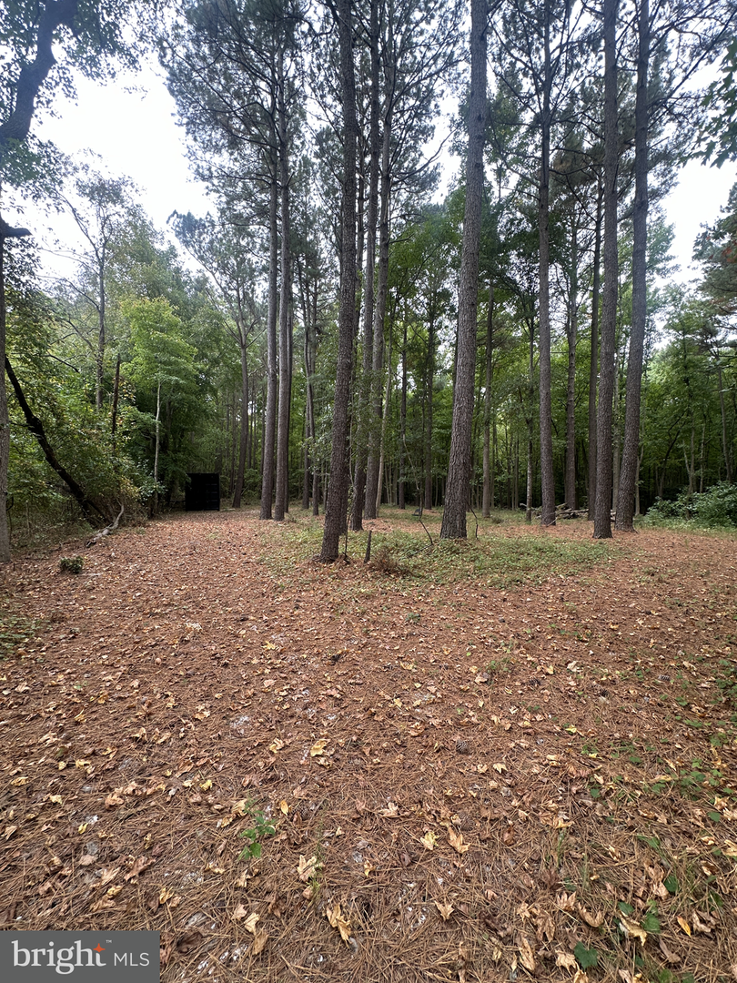 DESU2081840-803723857606-2025-07-18-12-02-59 0 Burbage Rd | Frankford, DE Real Estate For Sale | MLS# Desu2081840  - Jack Lingo REALTOR